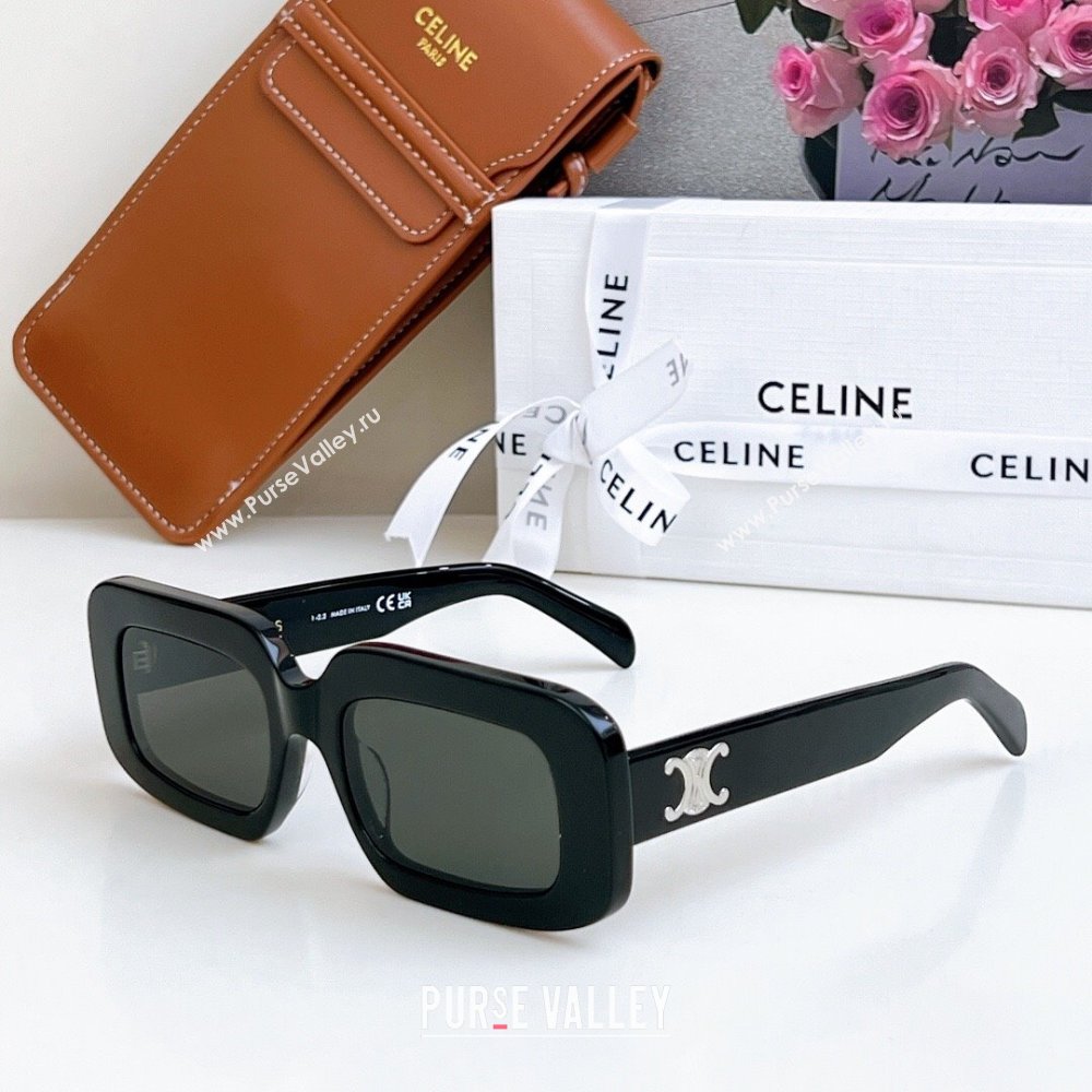 Celine Sunglasses Black/Silver 2025 CL40313U (SHI-250721099)