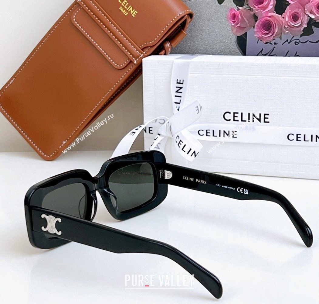 Celine Sunglasses Black/Silver 2025 CL40313U (SHI-250721099)