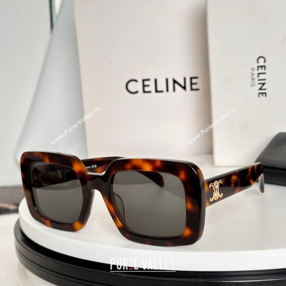 Celine Sunglasses Brown 2025 CL40304U (SHI-250721101)
