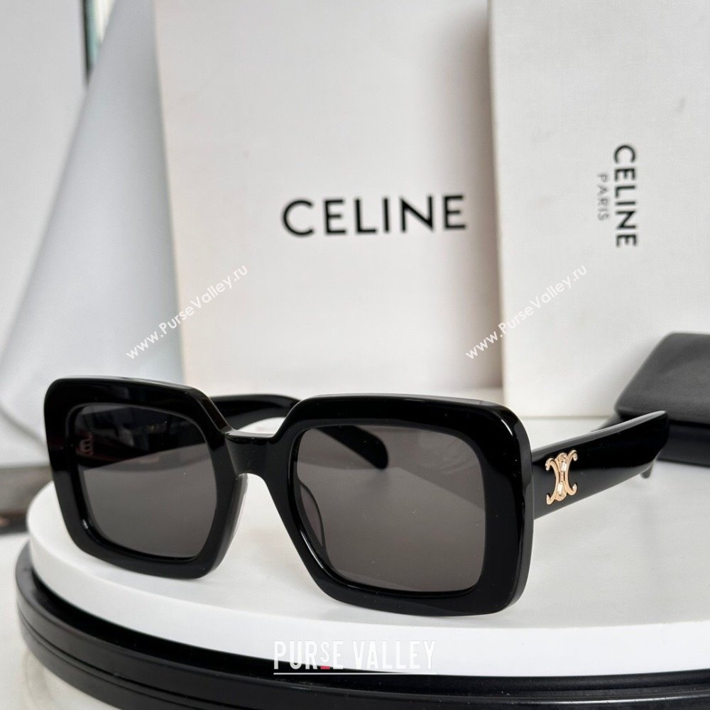 Celine Sunglasses Black 2025 CL40304U (SHI-250721102)