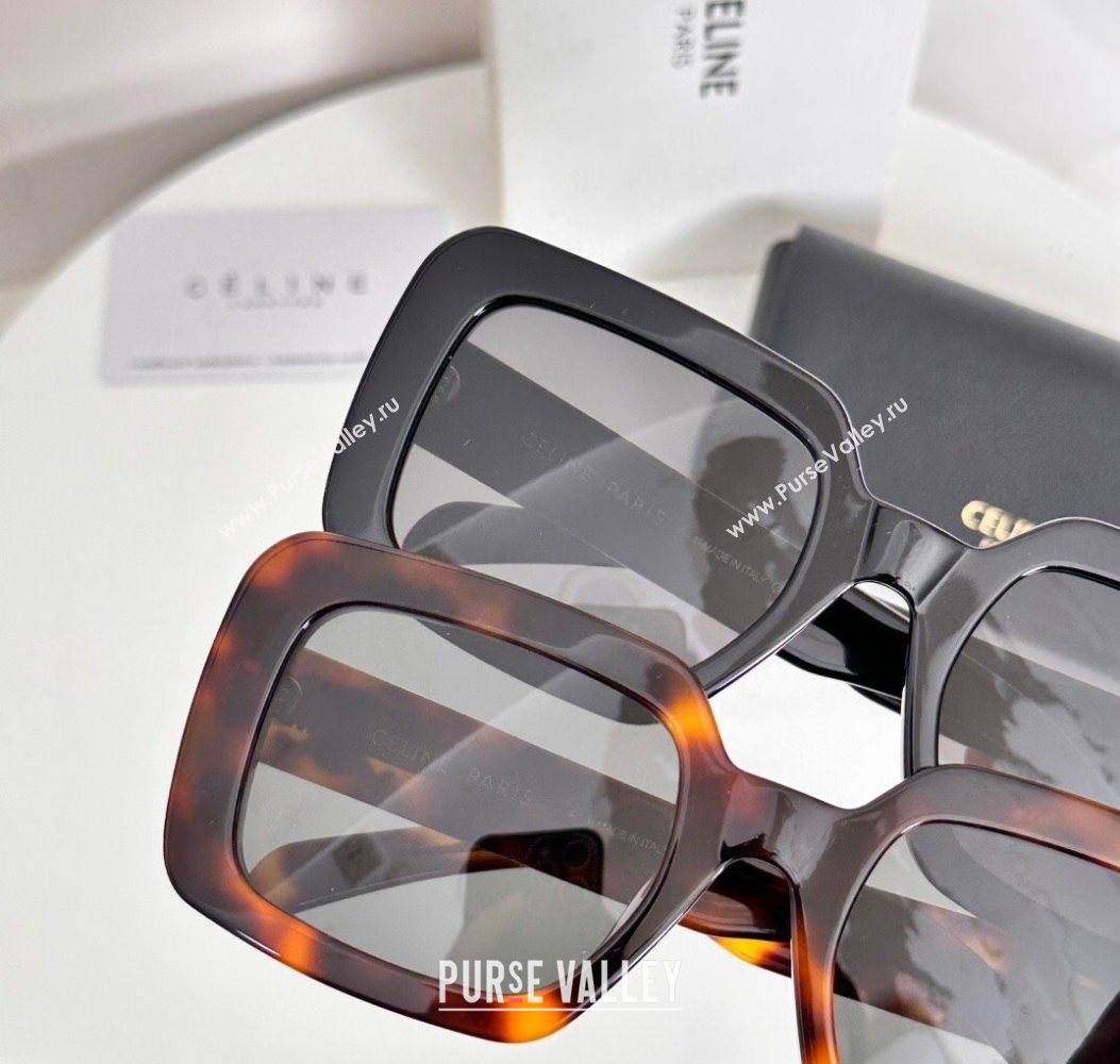 Celine Sunglasses Brown 2025 CL40304U (SHI-250721101)