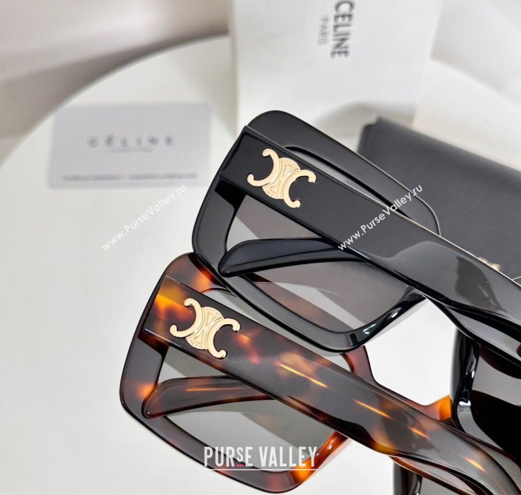 Celine Sunglasses Brown 2025 CL40304U (SHI-250721101)