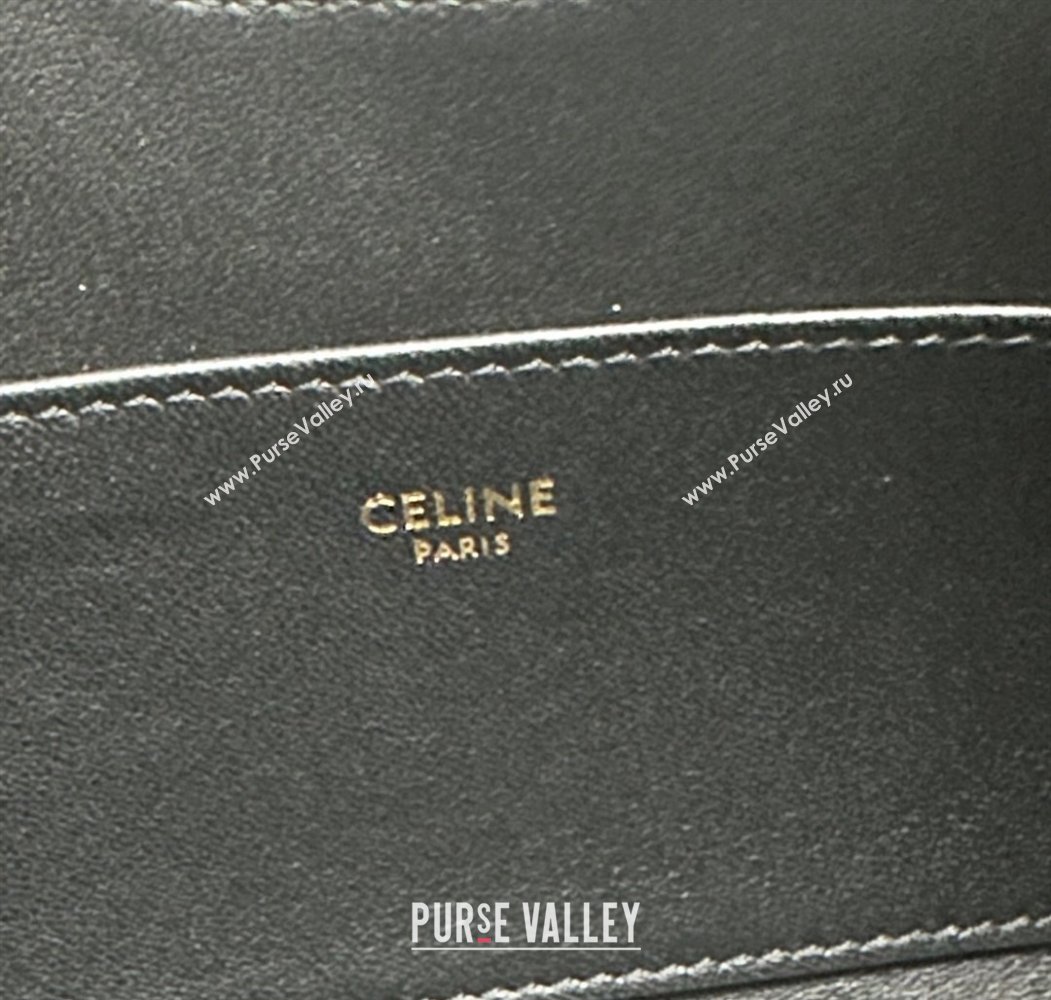 Celine Shoulder Camille16 Soft Bag in Smooth Calfskin Black 2025 122073 (BL-250807048)