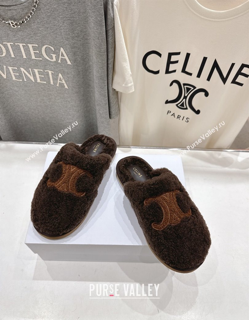 Celine Georgia Flat Slides Sandal in Shearling Brown 2025 CE082616 (MD-250826124)