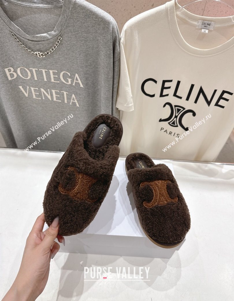 Celine Georgia Flat Slides Sandal in Shearling Brown 2025 CE082616 (MD-250826124)