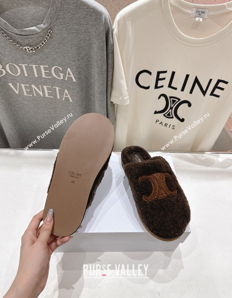 Celine Georgia Flat Slides Sandal in Shearling Brown 2025 CE082616 (MD-250826124)
