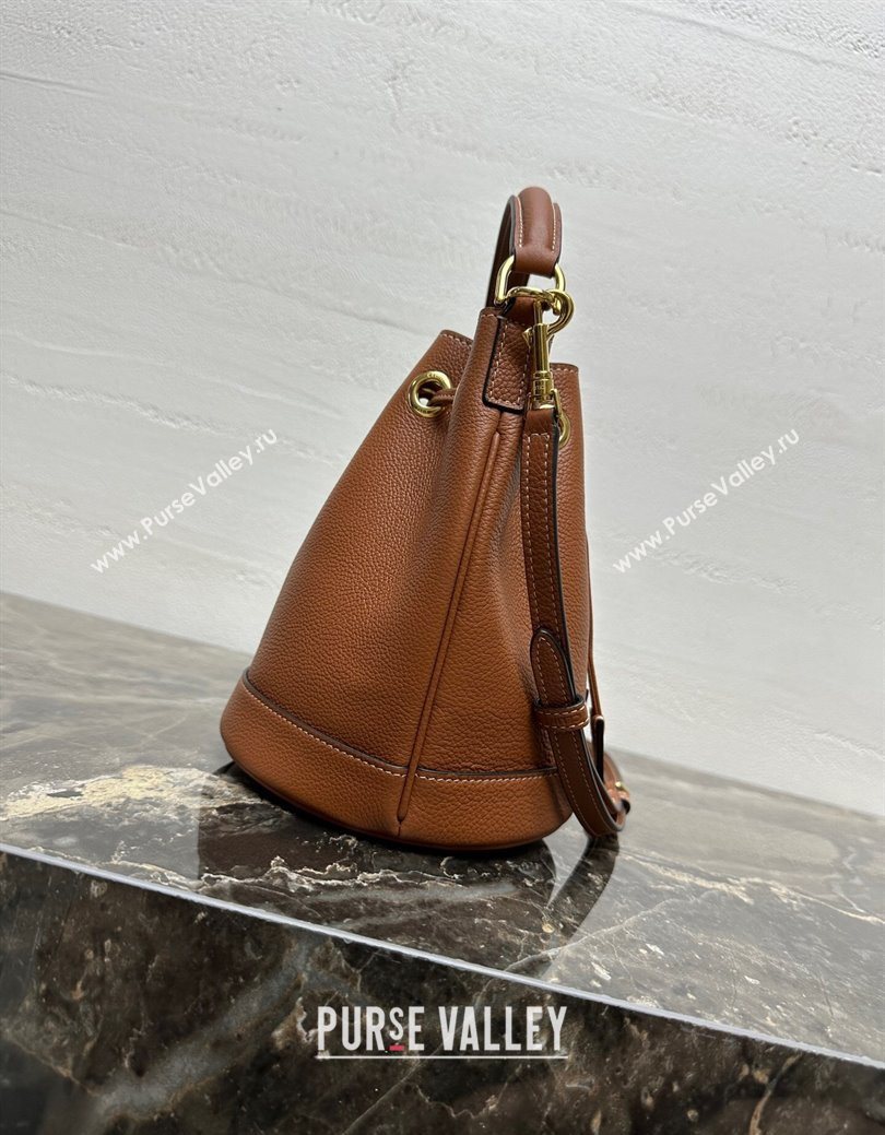 Celine Teen Clara Bucket Bag in Supple Grained Calfskin Brown 2025 121673 (BL-250930025)