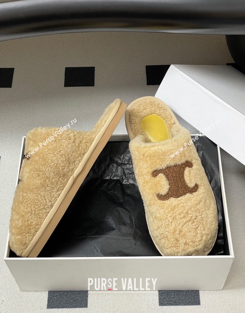 Celine Georgia Flat Slides Sandal in Shearling Beige 2025 1024 (MD-251024066)