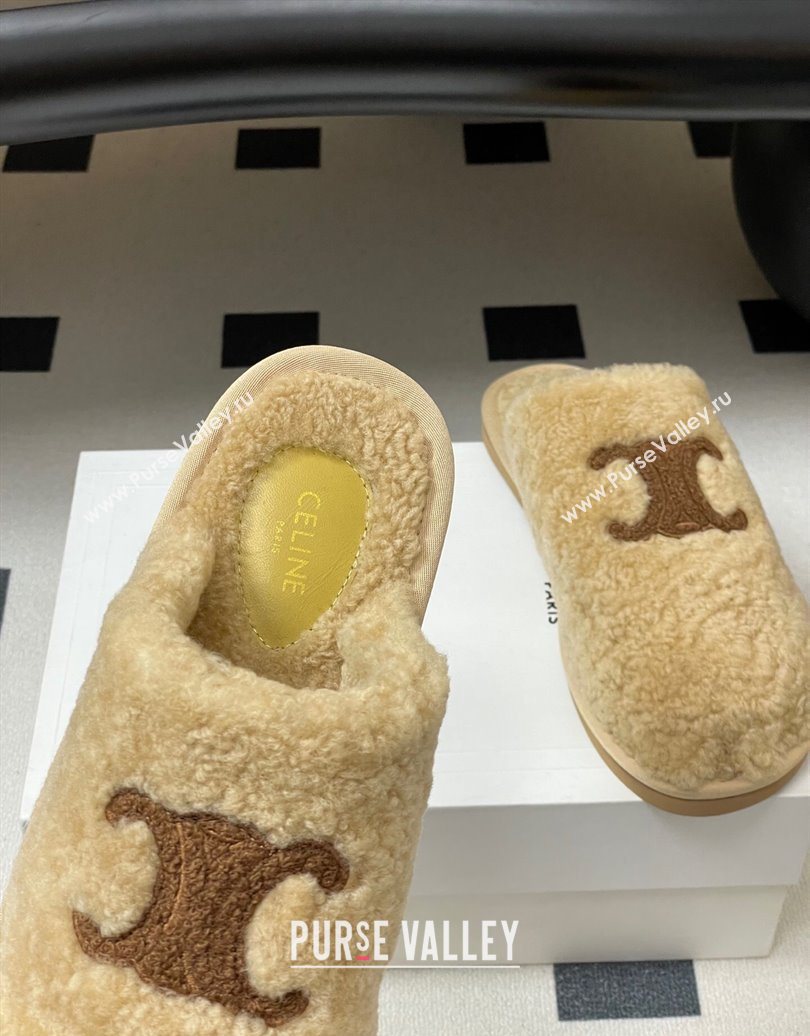 Celine Georgia Flat Slides Sandal in Shearling Beige 2025 1024 (MD-251024066)