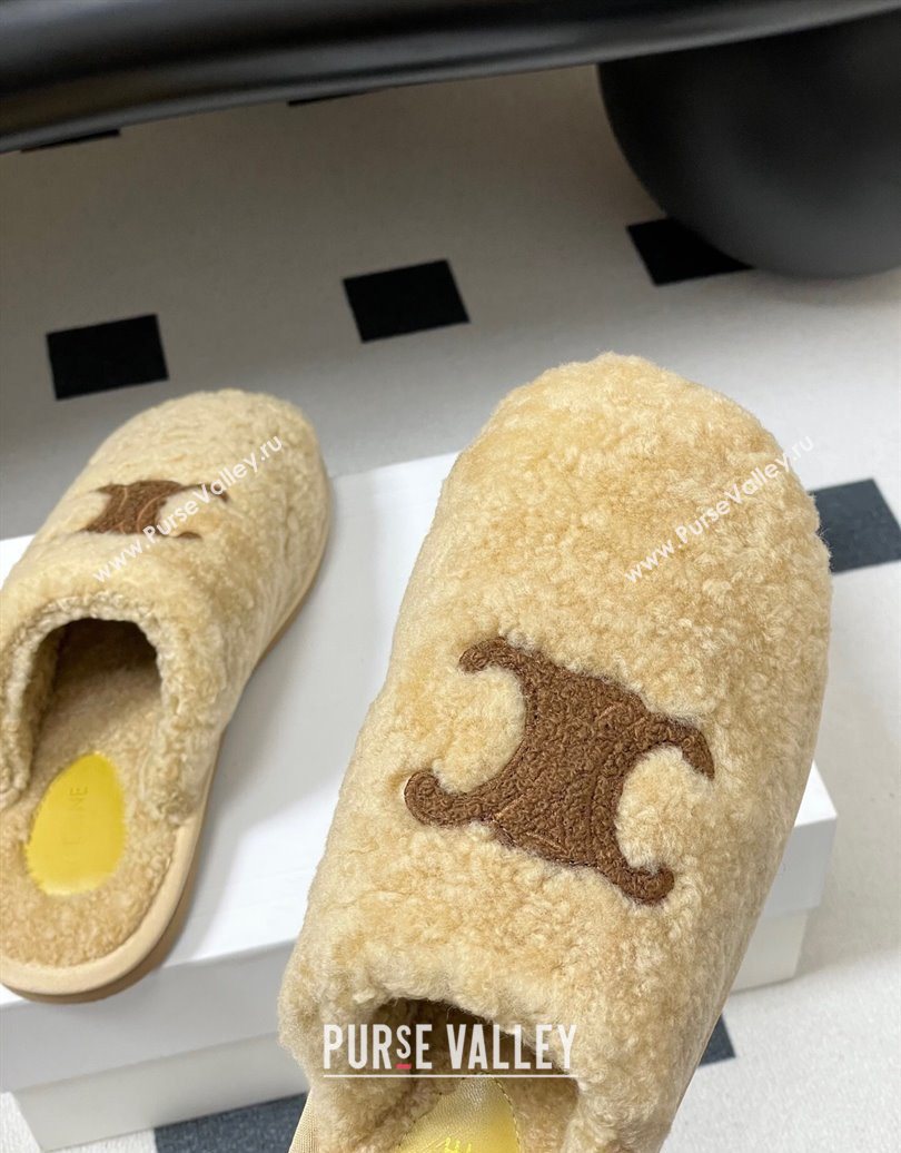 Celine Georgia Flat Slides Sandal in Shearling Beige 2025 1024 (MD-251024066)