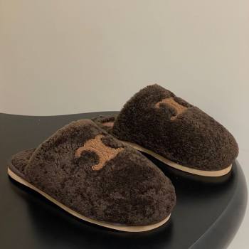 Celine Georgia Flat Slides Sandal in Shearling Dark Brown 2025 1024 (MD-251024067)