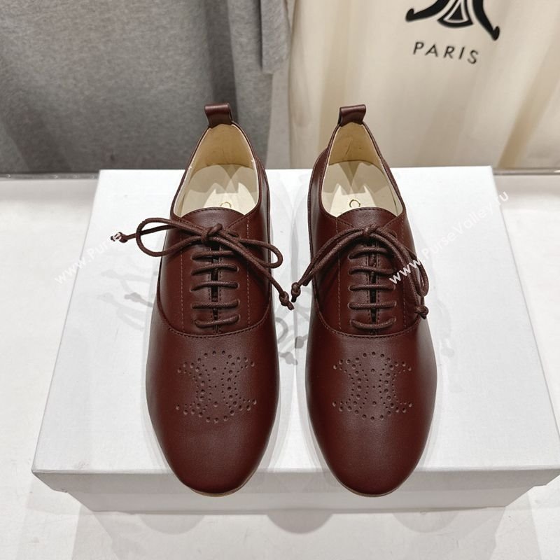 Celine Lise Perforated Triomphe Richelieu Laced-up Shoes in Calfskin Leather Dark Brown 2025 (MD-251024025)