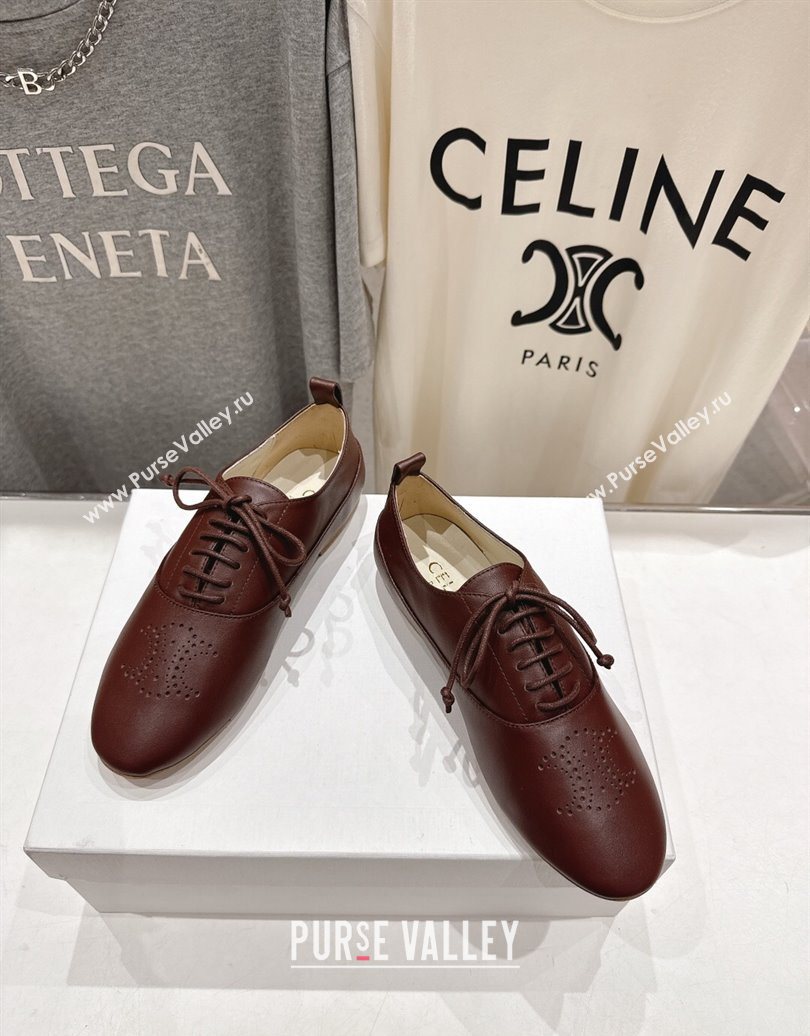 Celine Lise Perforated Triomphe Richelieu Laced-up Shoes in Calfskin Leather Dark Brown 2025 (MD-251024025)