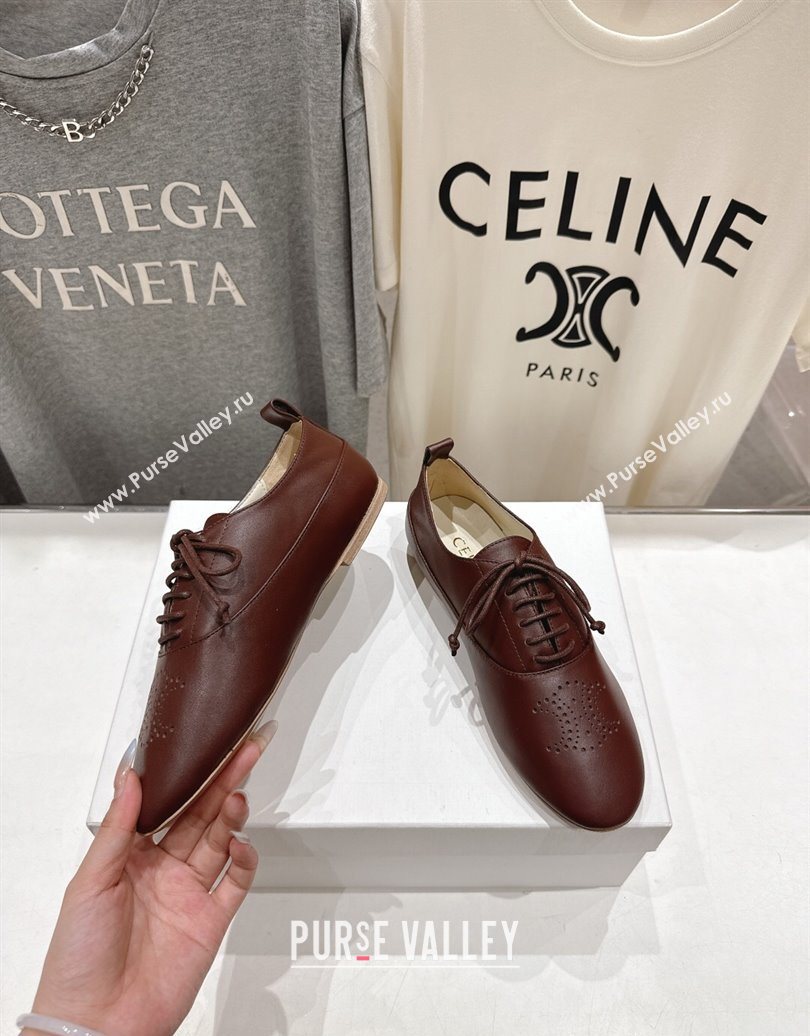 Celine Lise Perforated Triomphe Richelieu Laced-up Shoes in Calfskin Leather Dark Brown 2025 (MD-251024025)