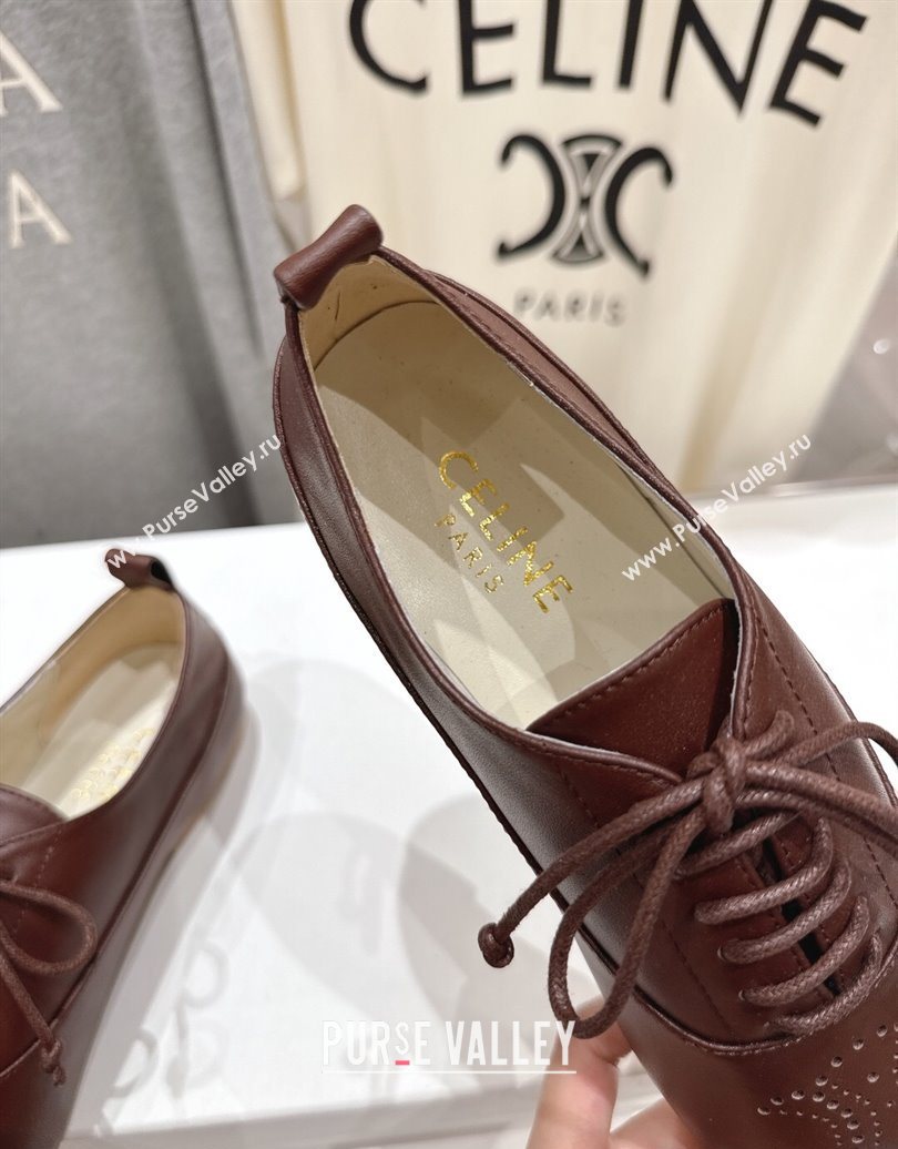 Celine Lise Perforated Triomphe Richelieu Laced-up Shoes in Calfskin Leather Dark Brown 2025 (MD-251024025)