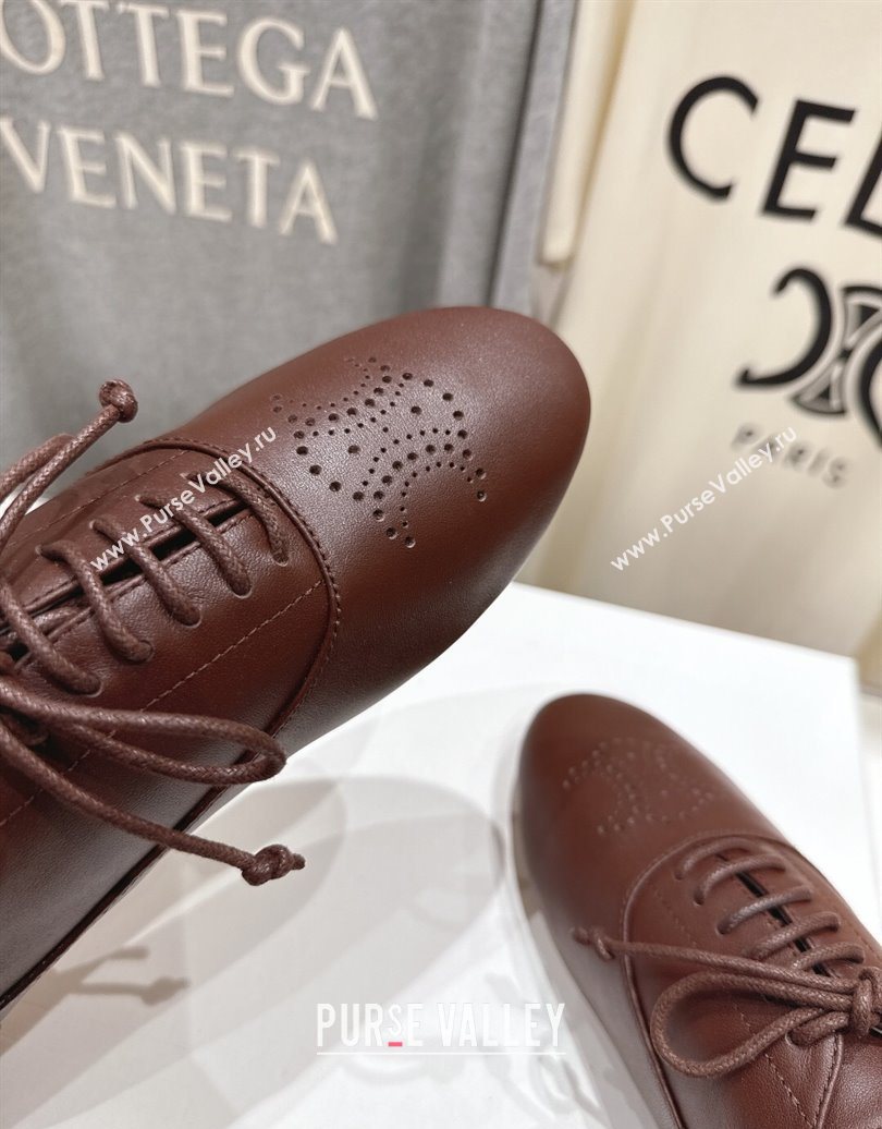 Celine Lise Perforated Triomphe Richelieu Laced-up Shoes in Calfskin Leather Dark Brown 2025 (MD-251024025)