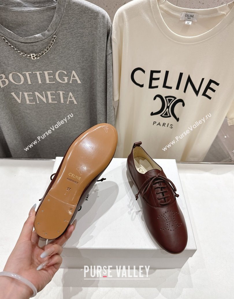Celine Lise Perforated Triomphe Richelieu Laced-up Shoes in Calfskin Leather Dark Brown 2025 (MD-251024025)