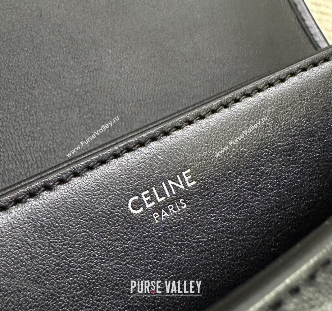 Celine Medium Besace Triomphe Shoulder Bag in Supple Calfskin Leather Black/Silver 2025 114453 (BL-251124042)
