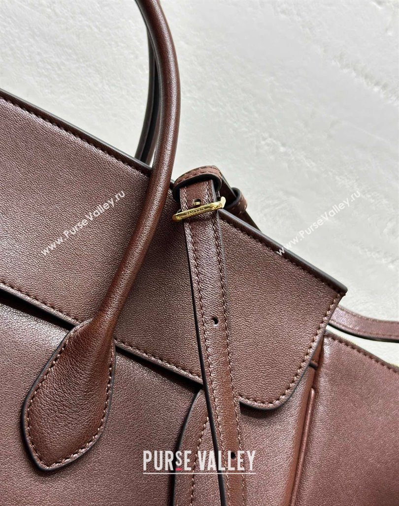 Celine Medium New Luggage Top Handle Bag in Supple Shiny Lambskin Leather Dark Brown 2025 123693 (BL-251124051)