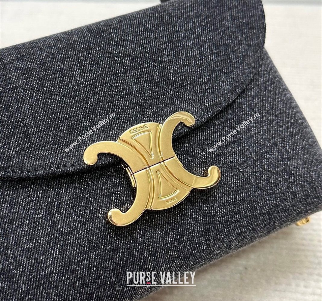 Celine Teen Nino Bag in Triomphe Denim Black 2025 118112 (BL-251124052)