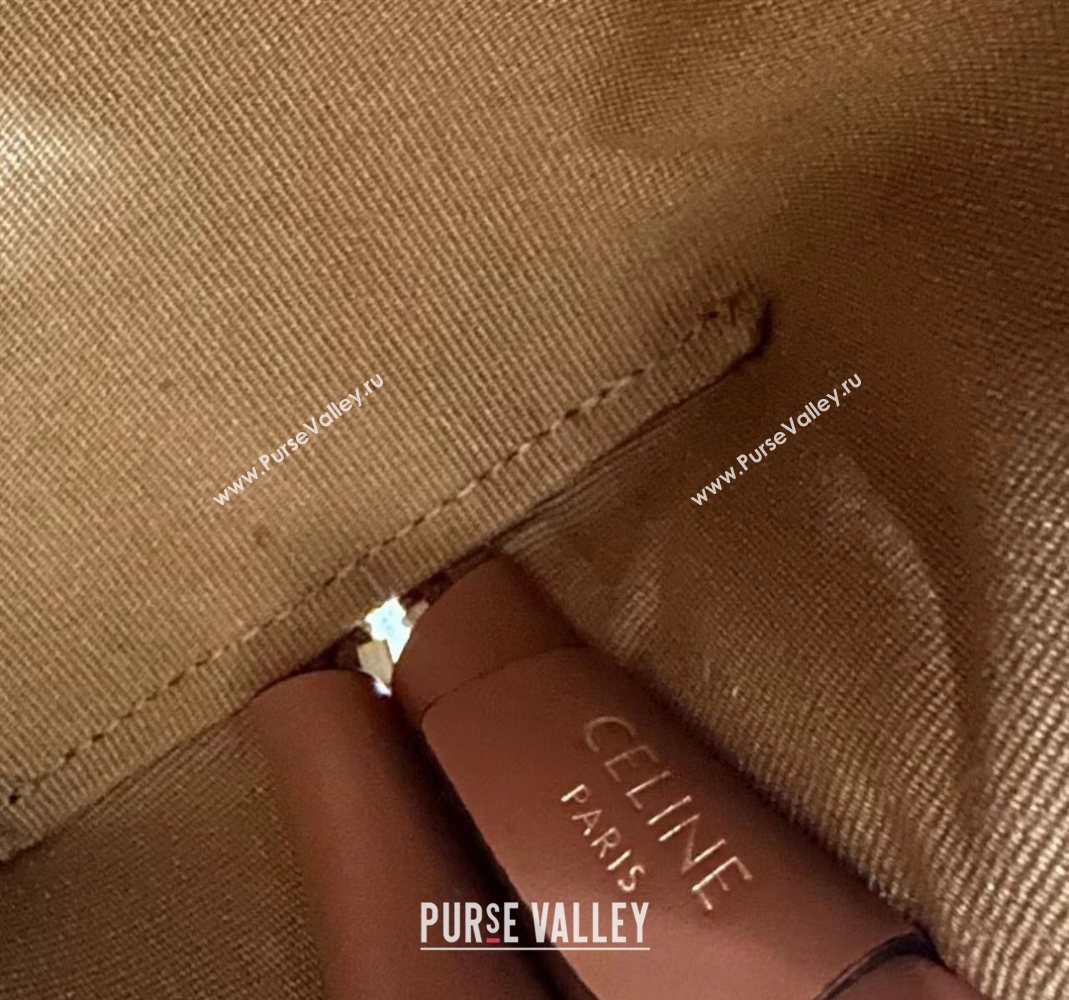 Celine Clutch On Chain Mini Bag in Triomphe Canvas and Lambskin 2025 10E382 (BL-251124066)
