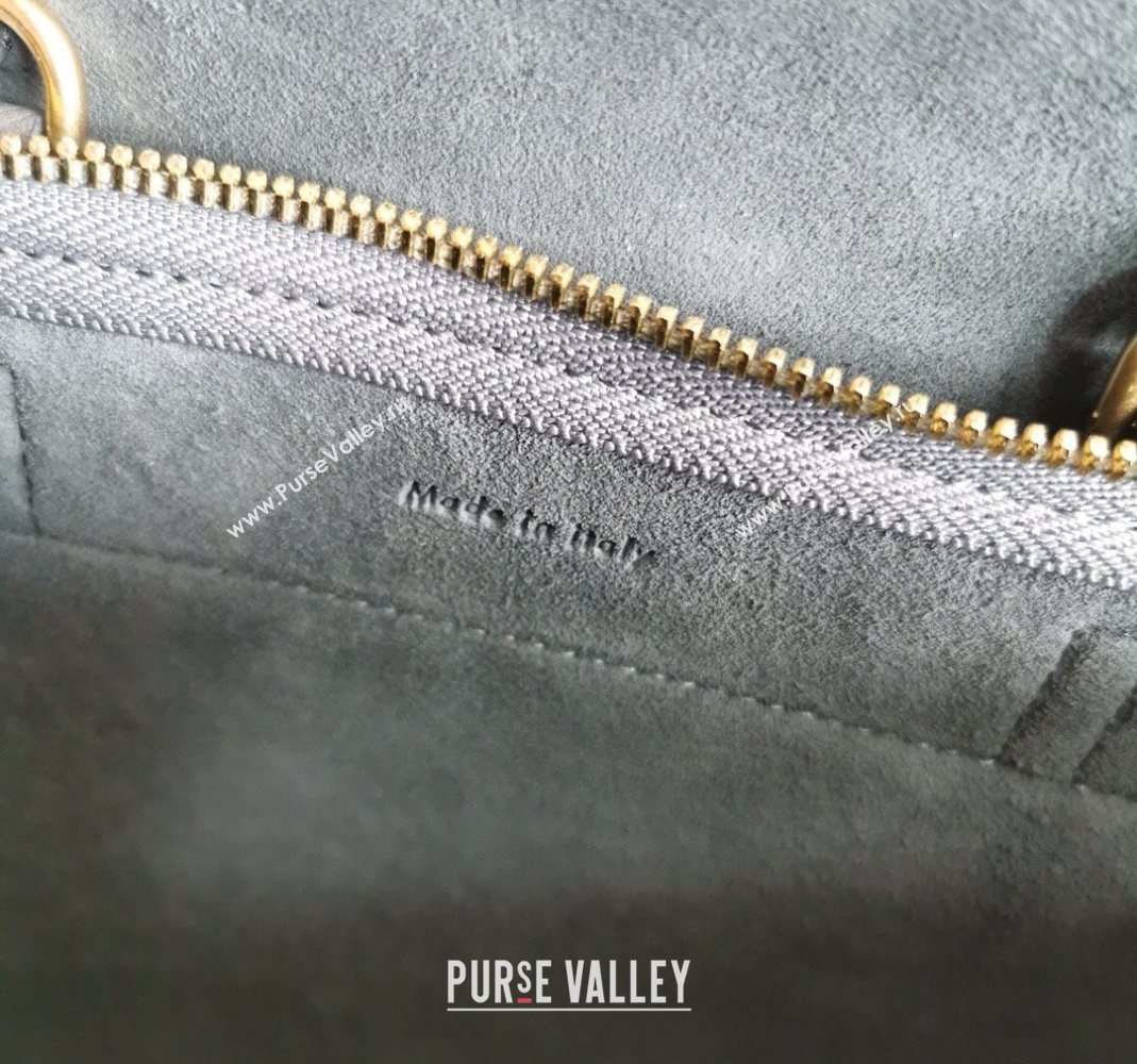 Celine Belt Pico Nano Bag in Grained Leather Grey 2025 189003 (BL-251124035)