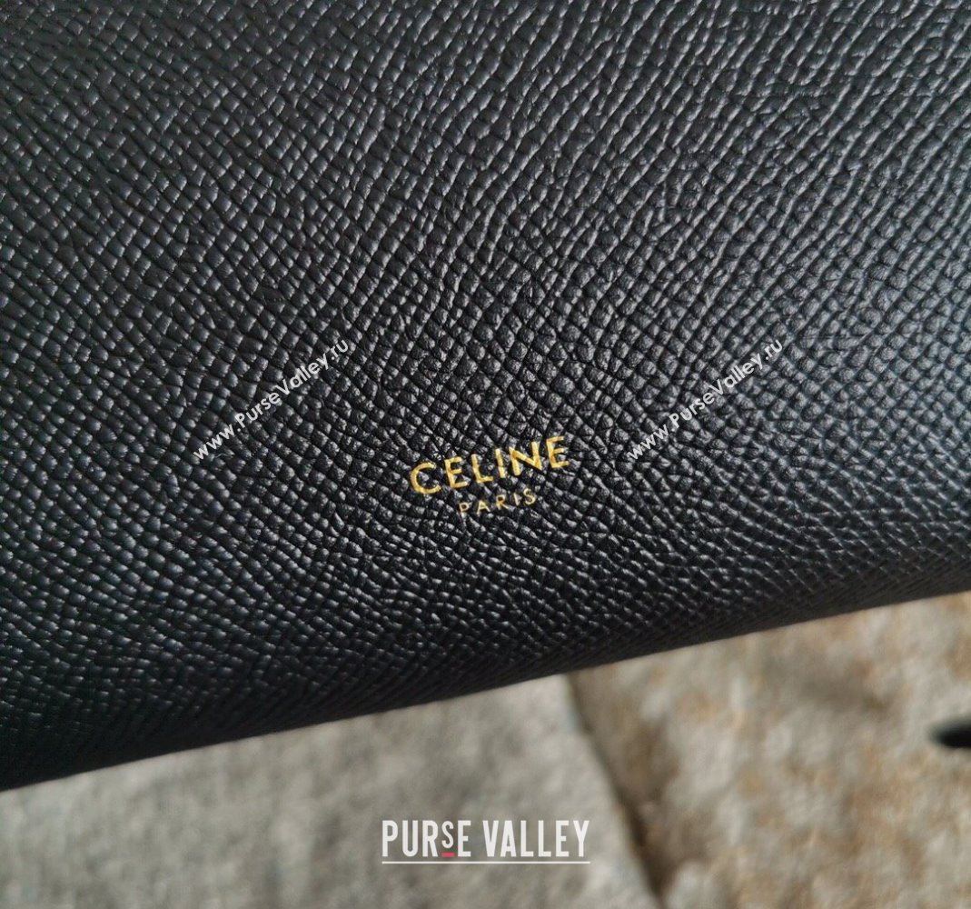 Celine Belt Pico Nano Bag in Grained Leather Black 2025 189003 (BL-251124036)