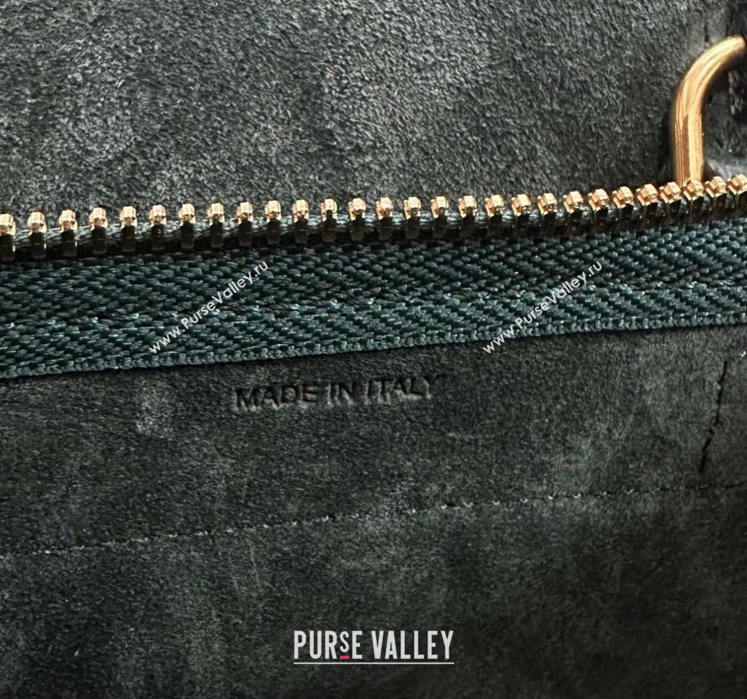 Celine Belt Pico Mini Bag in Grained Leather Green 2025 194263 (BL-251124030)