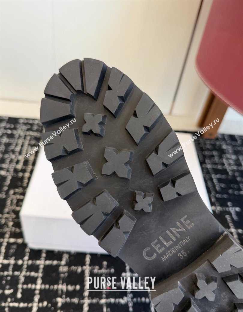 Celine Black Calfskin Leather Ankle Boots 4.5cm with Buckle 2025 CE1209023 (SS-251209063)