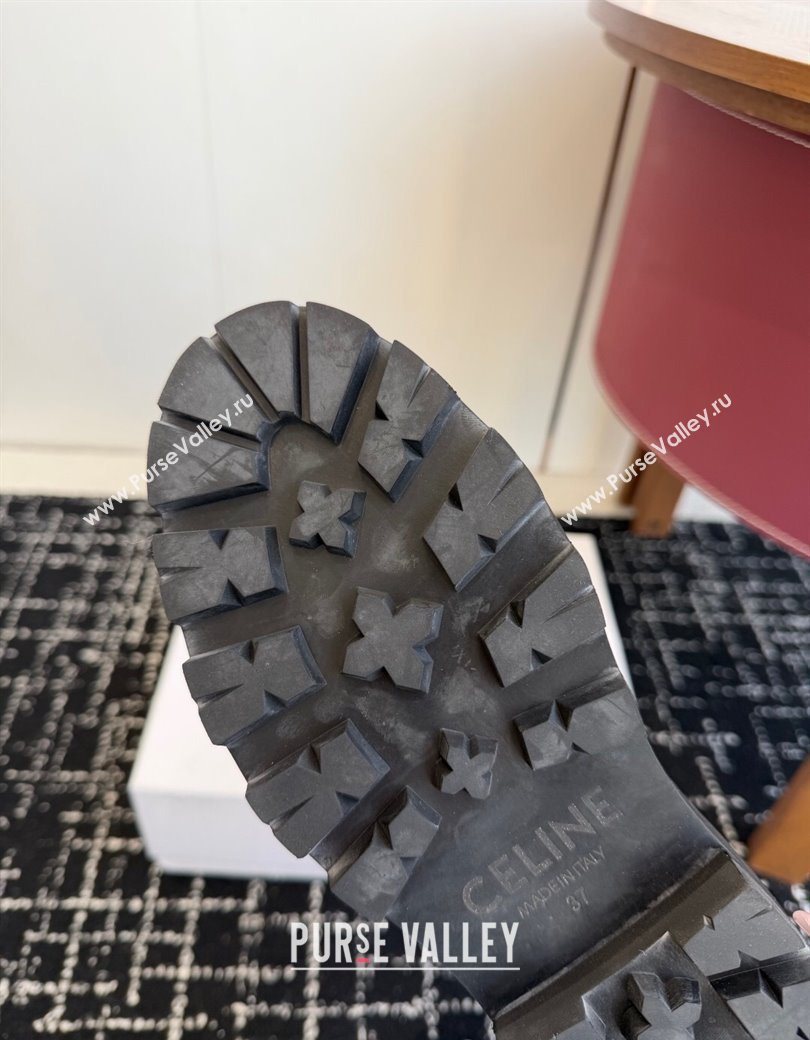 Celine Black Calfskin Leather Ankle Boots 4.5cm with Buckle 2025 CE1209024 (SS-251209064)