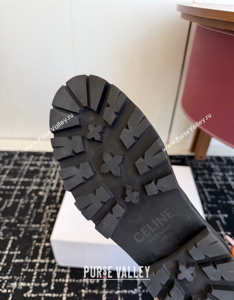 Celine Black Calfskin Leather Ankle Boots 4.5cm 2025 CE1209026 (SS-251209066)