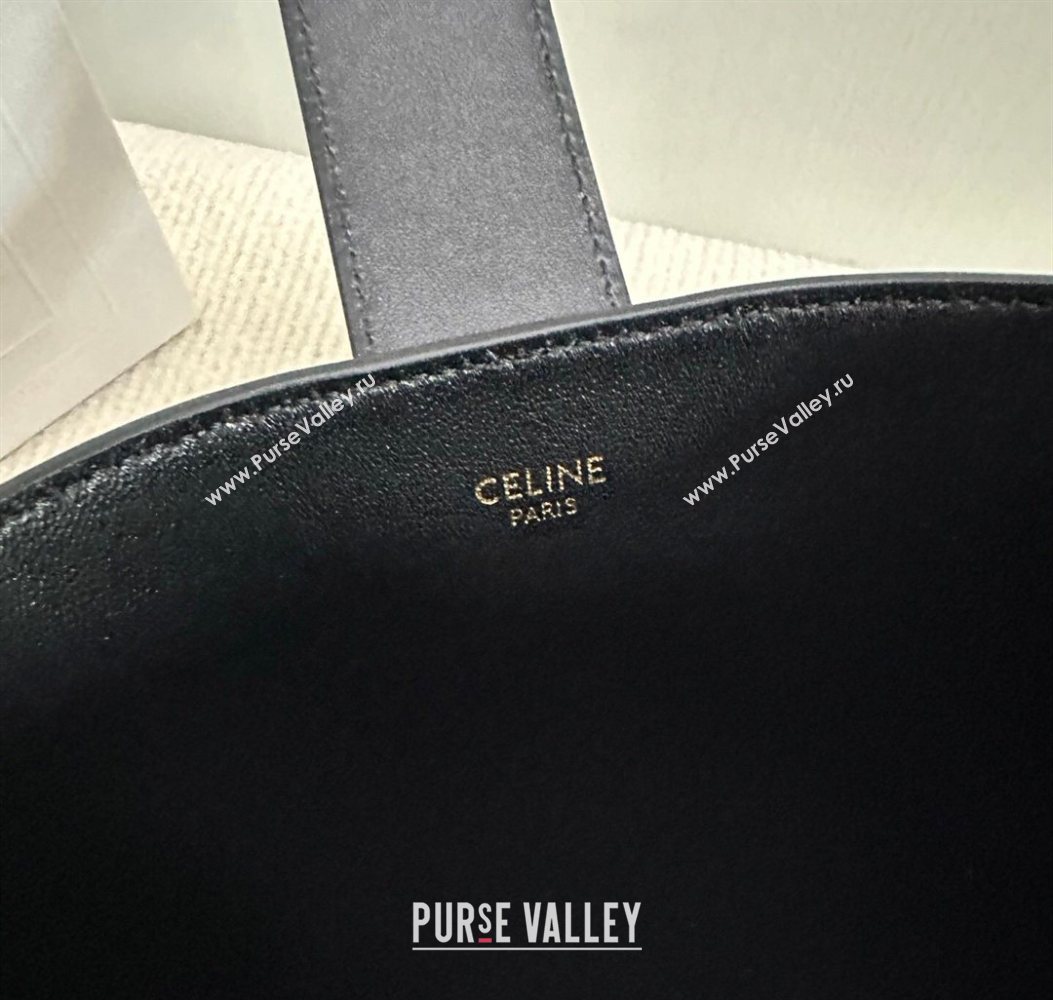 Celine Mini Bucket Bag Louise in Smooth Calfskin Leather Black 2026 10N473 (BL-260121012)