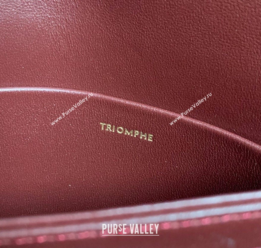 Celine Teen Triomphe Mini Bag in Shiny Calfskin Leather 188423 Burgundy 2026 (BL-260121017)