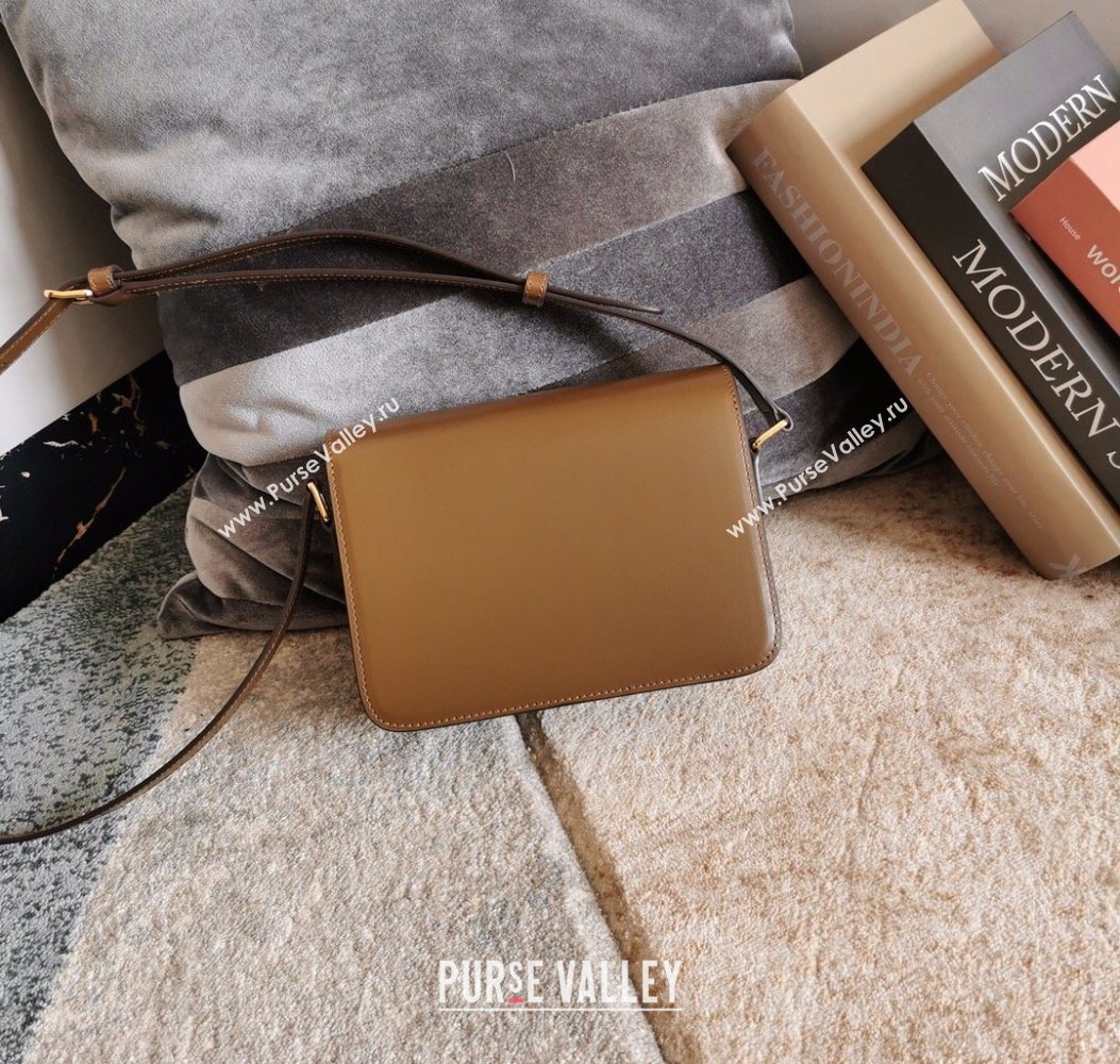 Celine Teen Triomphe Mini Bag in Shiny Calfskin Leather 188423 Caramel 2026 (BL-260121018)