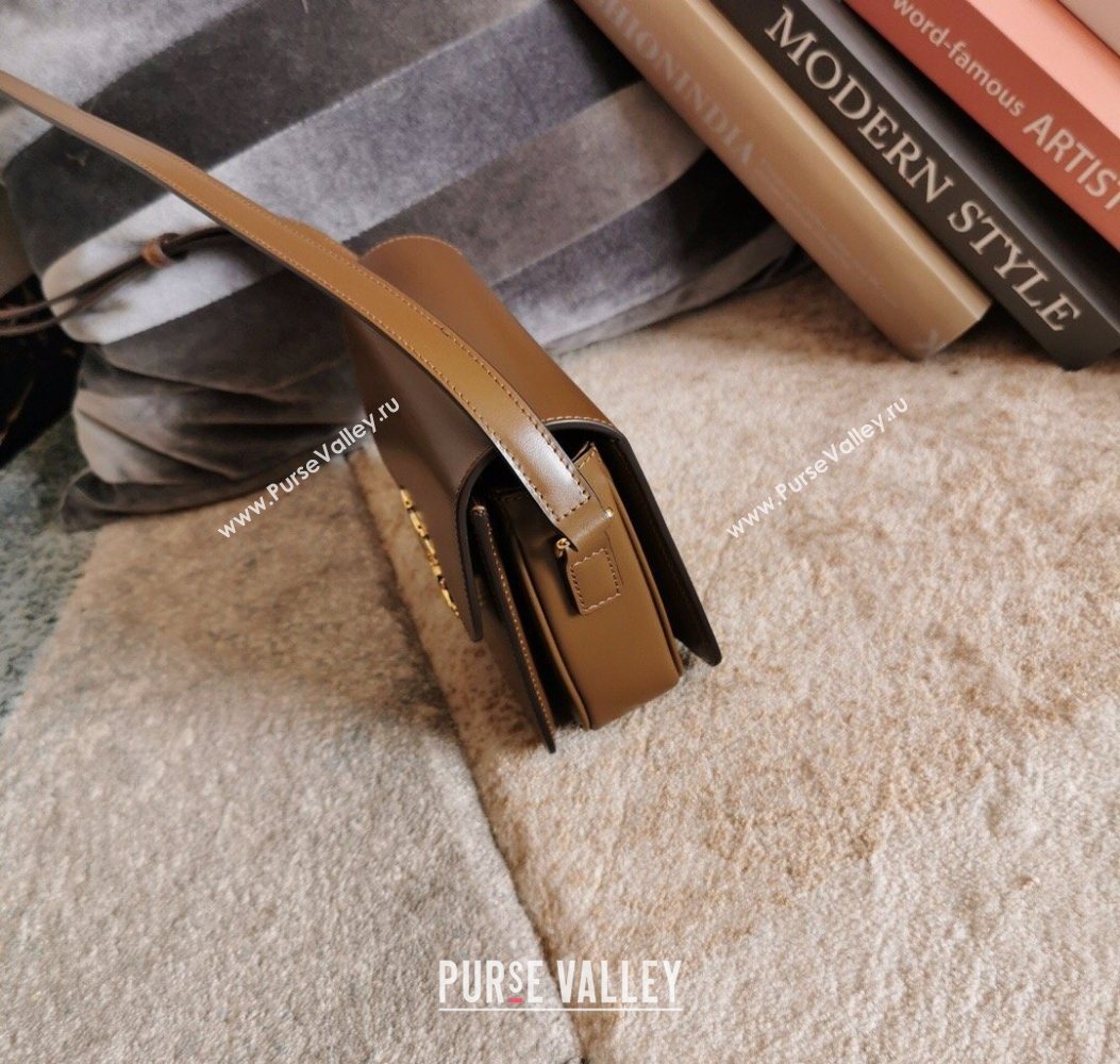 Celine Teen Triomphe Mini Bag in Shiny Calfskin Leather 188423 Caramel 2026 (BL-260121018)