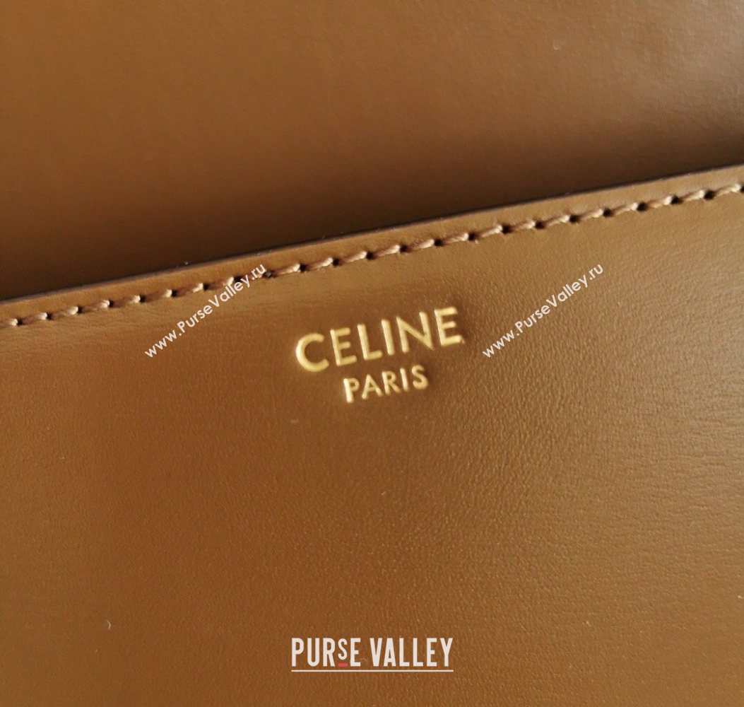 Celine Teen Triomphe Mini Bag in Shiny Calfskin Leather 188423 Caramel 2026 (BL-260121018)