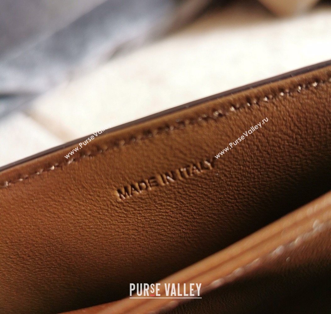 Celine Teen Triomphe Mini Bag in Shiny Calfskin Leather 188423 Caramel 2026 (BL-260121018)