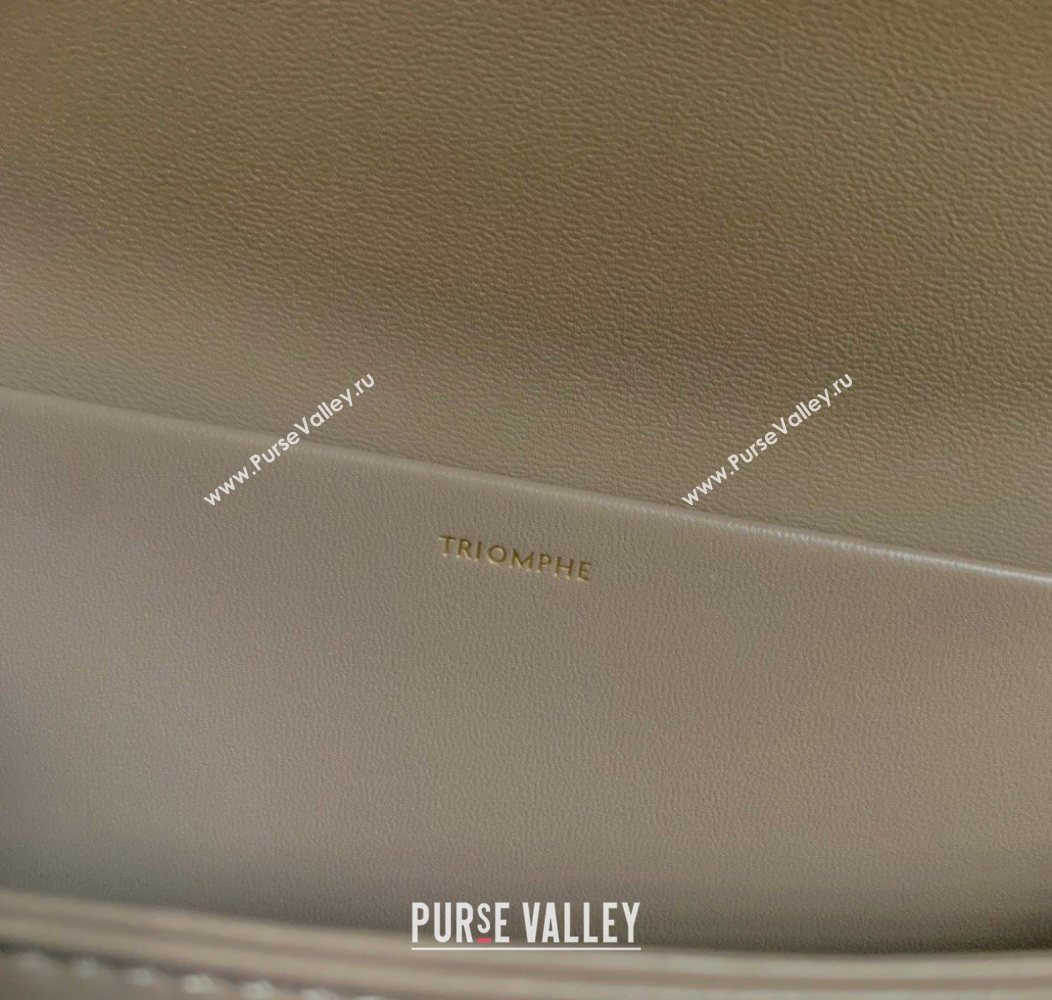 Celine Classique Triomphe Bag in Shiny Calfskin Leather 187366 Pebble Grey 2026 (BL-260121039)