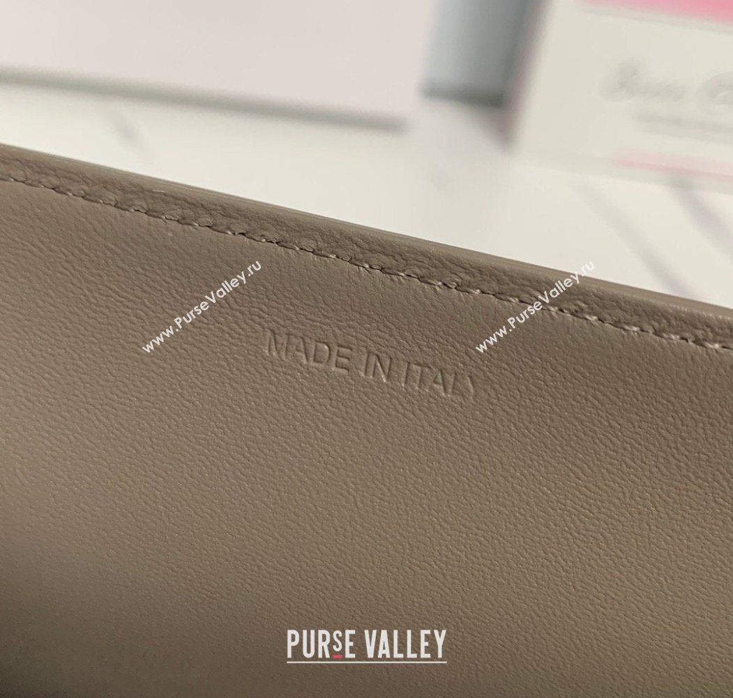 Celine Classique Triomphe Bag in Shiny Calfskin Leather 187366 Pebble Grey 2026 (BL-260121039)