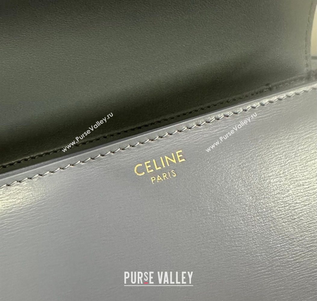 Celine Teen Triomphe Mini Bag in Shiny Calfskin Leather 188423 Blue Grey 2026 (BL-260121020)