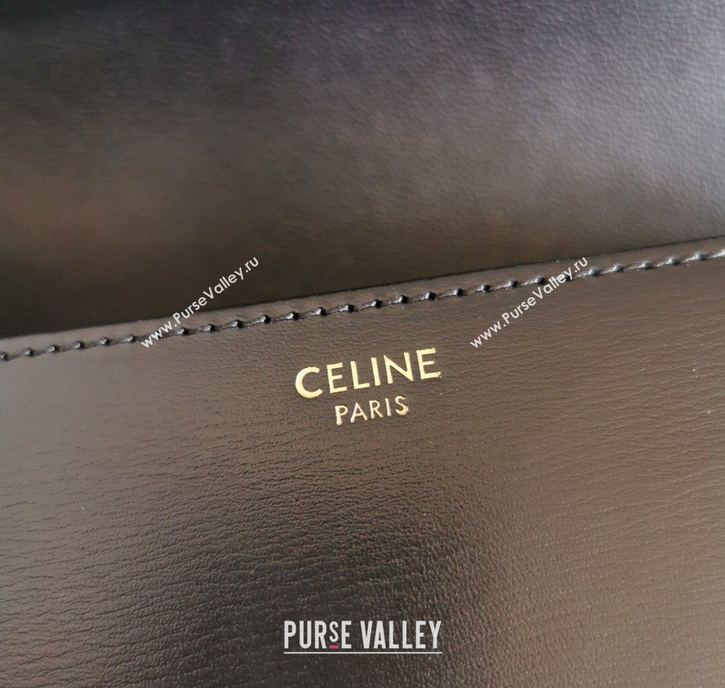 Celine Teen Triomphe Mini Bag in Shiny Calfskin Leather 188423 Black/Gold 2026 (BL-260121021)
