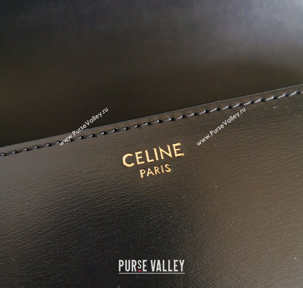 Celine Classique Triomphe Bag in Shiny Calfskin Leather 187366 Black/Gold 2026 (BL-260121041)