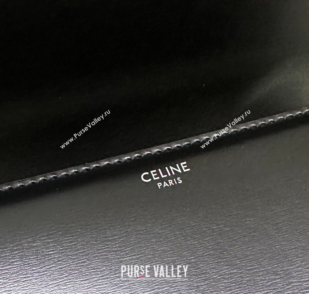 Celine Classique Triomphe Bag in Shiny Calfskin Leather 187366 Black/Silver 2026 (BL-260121043)