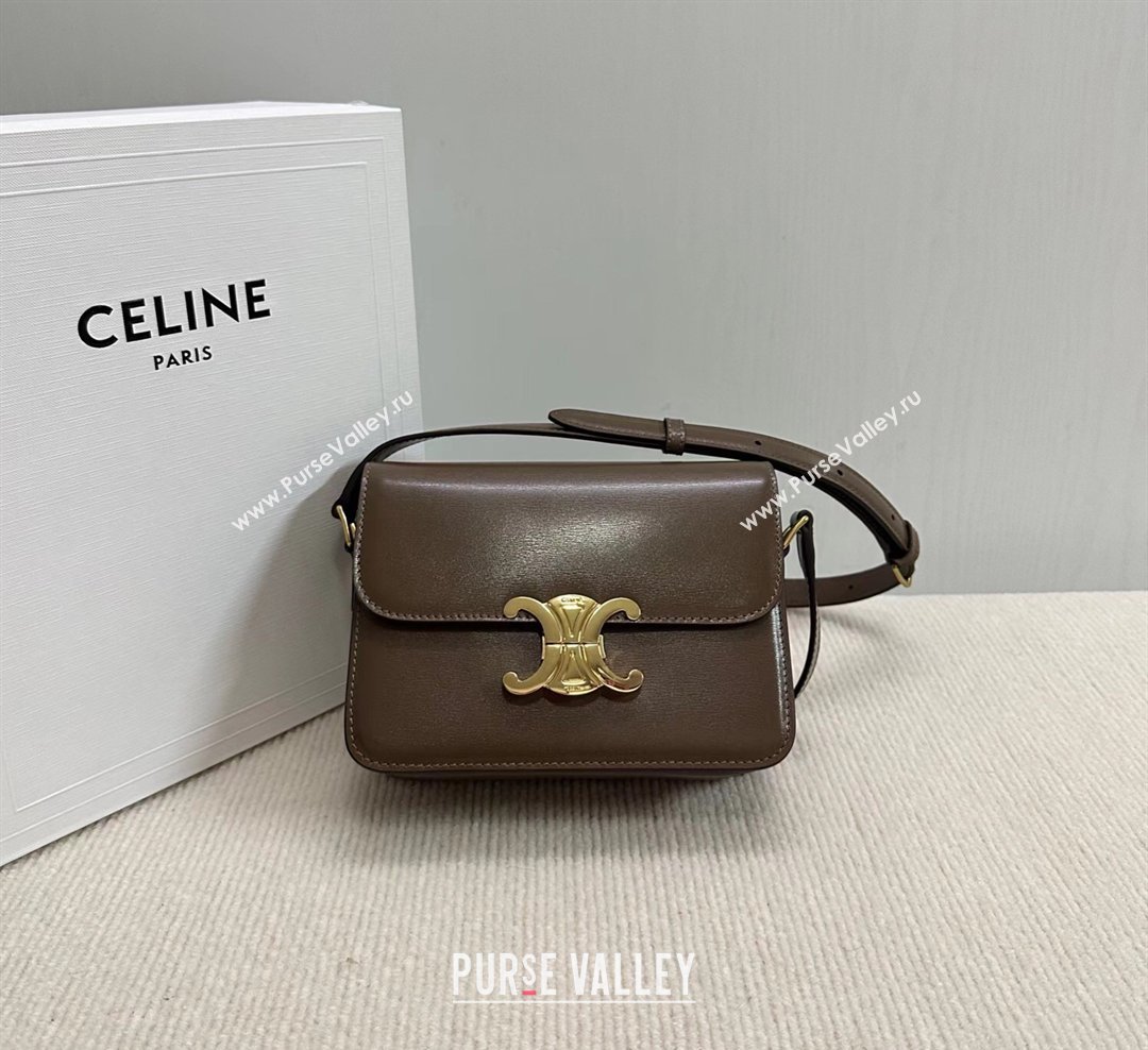 Celine Teen Triomphe Mini Bag in Shiny Calfskin Leather 188423 Soil Brown 2026 (BL-260121025)