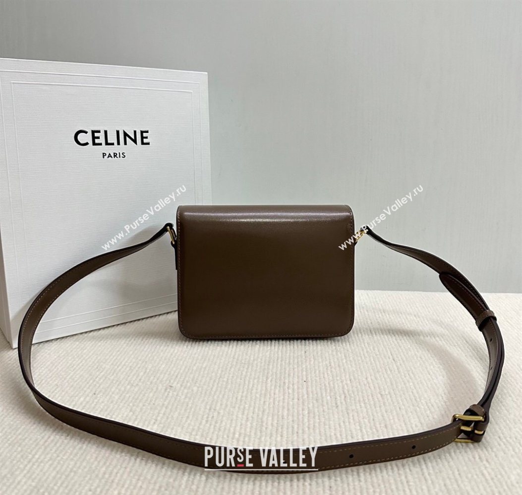 Celine Teen Triomphe Mini Bag in Shiny Calfskin Leather 188423 Soil Brown 2026 (BL-260121025)