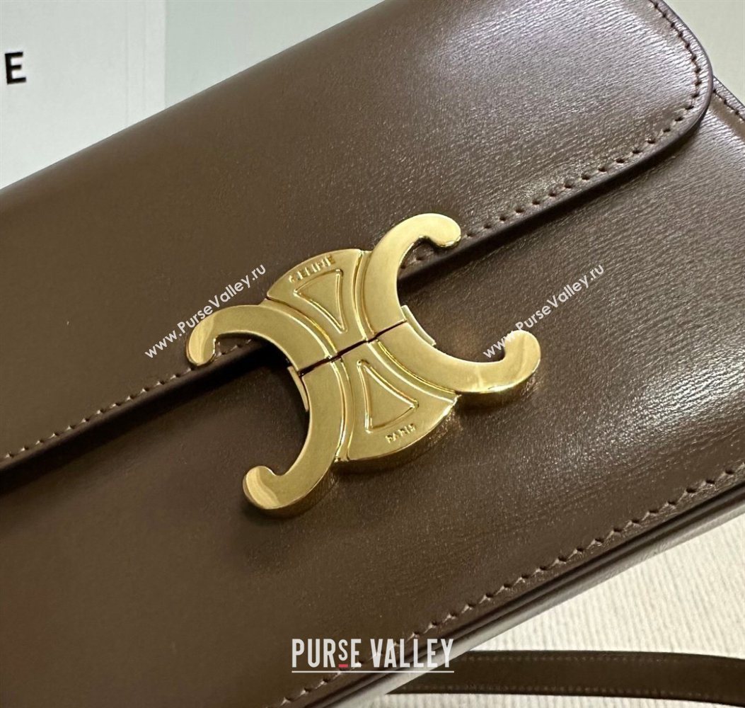 Celine Teen Triomphe Mini Bag in Shiny Calfskin Leather 188423 Soil Brown 2026 (BL-260121025)