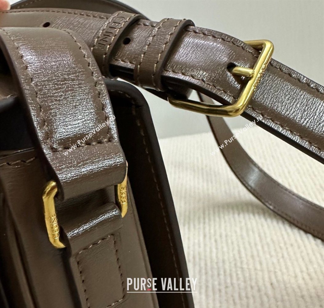 Celine Teen Triomphe Mini Bag in Shiny Calfskin Leather 188423 Soil Brown 2026 (BL-260121025)