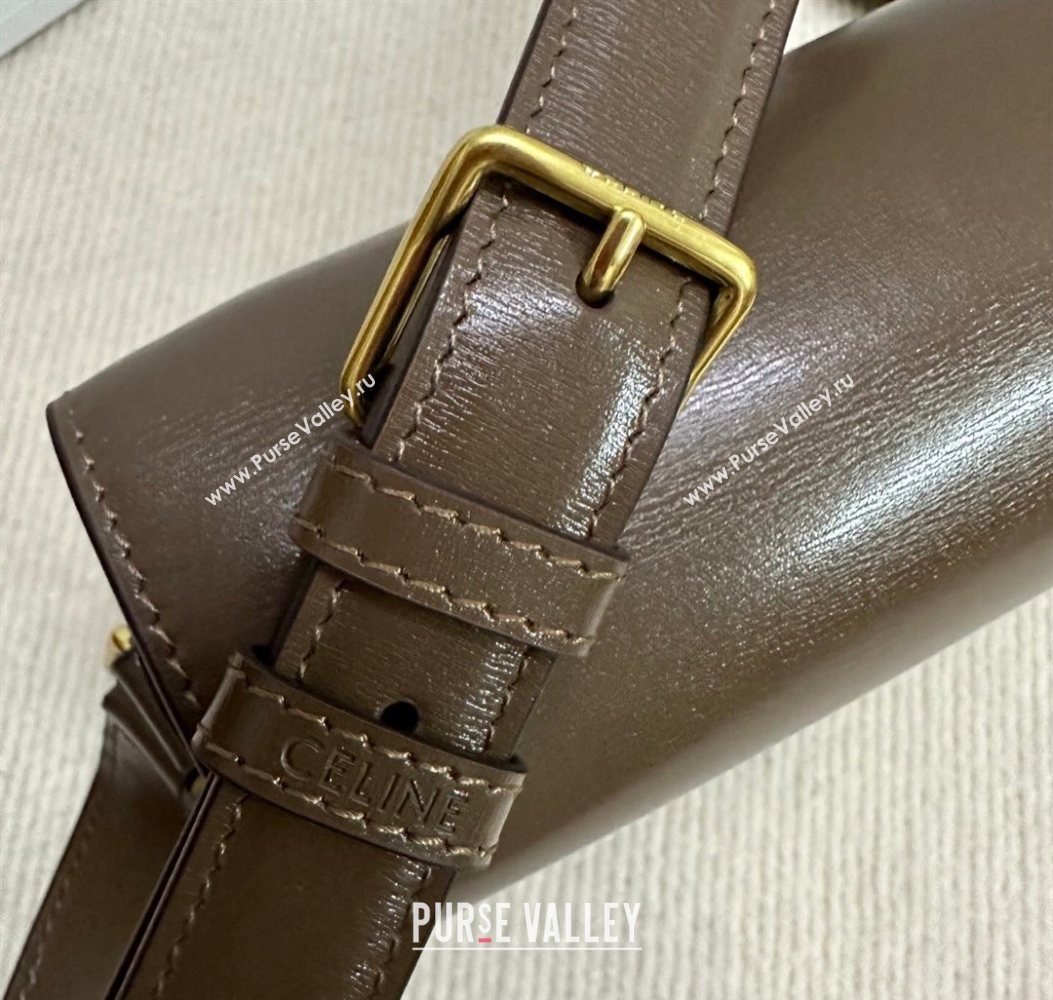 Celine Classique Triomphe Bag in Shiny Calfskin Leather 187366 Soil Brown 2026 (BL-260121045)