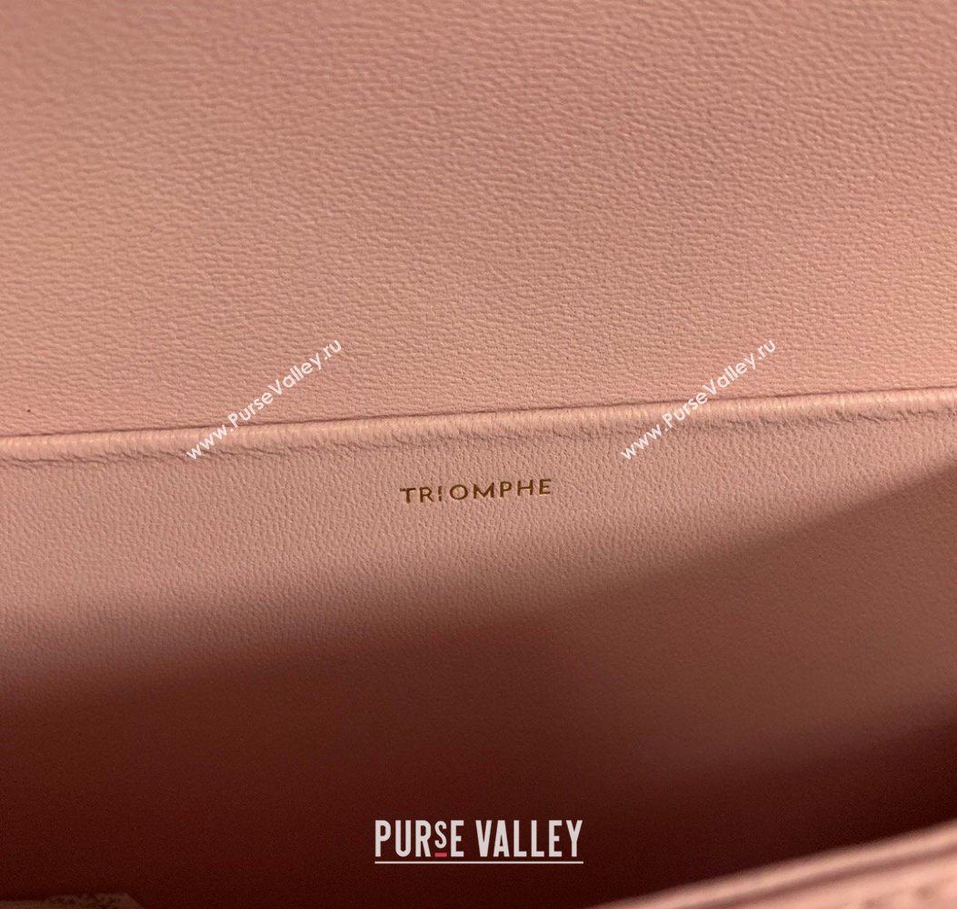 Celine Classique Triomphe Bag in Shiny Calfskin Leather 187366 Sakura Pink 2026 (BL-260121046)