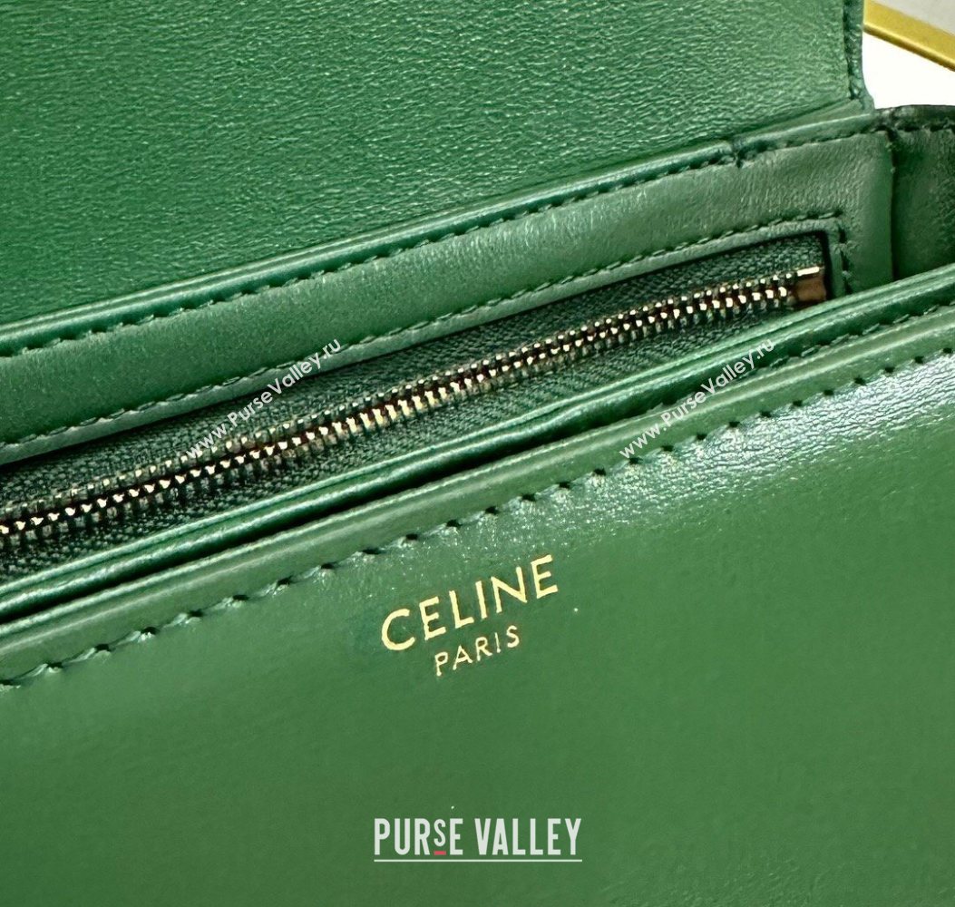 Celine Teen Triomphe Mini Bag in Shiny Calfskin Leather 188423 Amazon Green 2026 (BL-260121027)